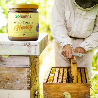 Wild Forest & Tulsi Honey Combo