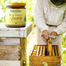 Wild Forest & Tulsi Honey Combo